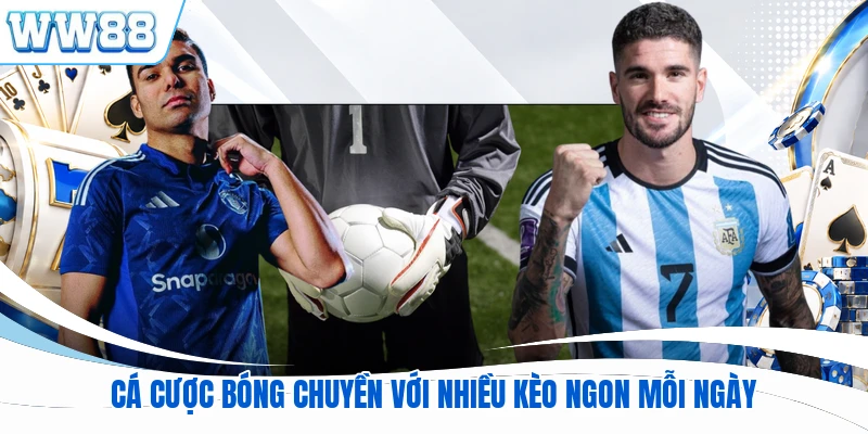 Cá cược bóng chuyền với nhiều kèo ngon mỗi ngày