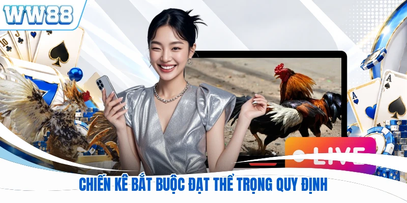 Chiến kê bắt buộc đạt thể trọng quy định