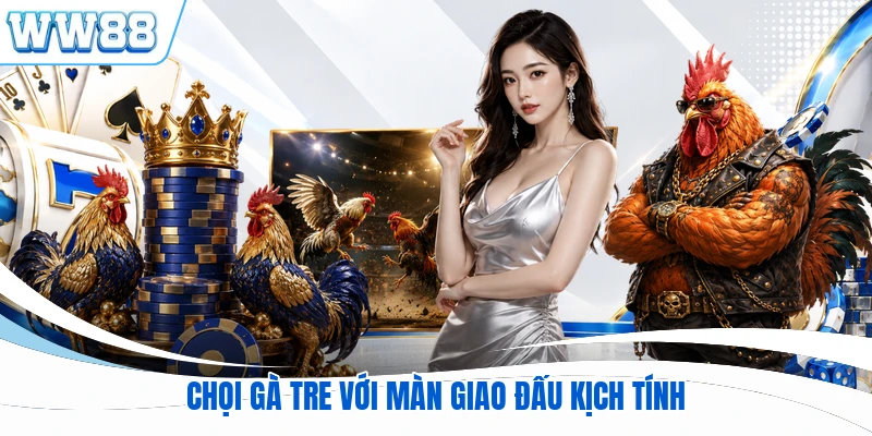 Chọi gà tre với màn giao đấu kịch tính