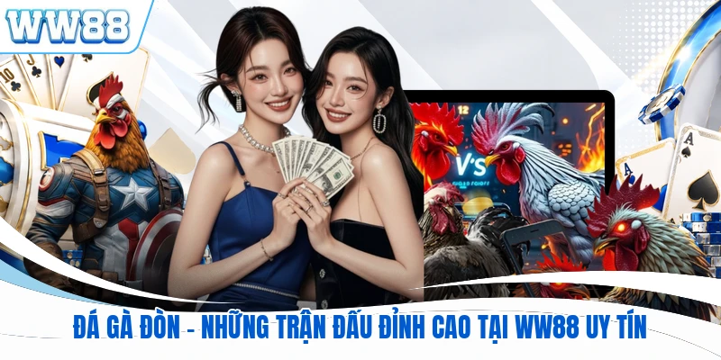 Đá Gà Đòn - Những Trận Đấu Đỉnh Cao Tại WW88 Uy Tín