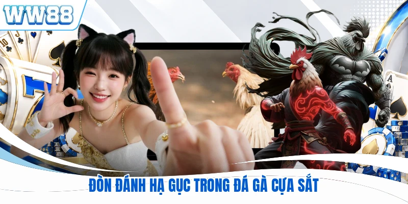 Đòn đánh hạ gục trong đá gà cựa sắt