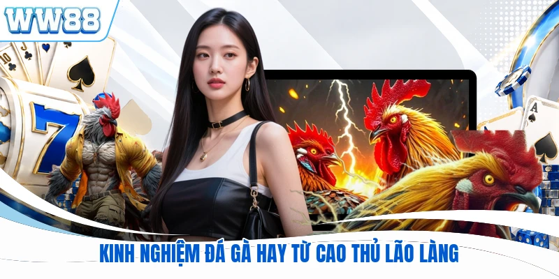 Kinh nghiệm đá gà hay từ cao thủ lão làng