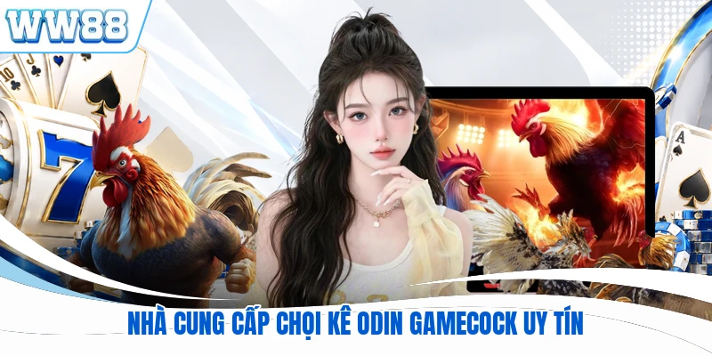Nhà cung cấp chọi kê Odin GameCock uy tín