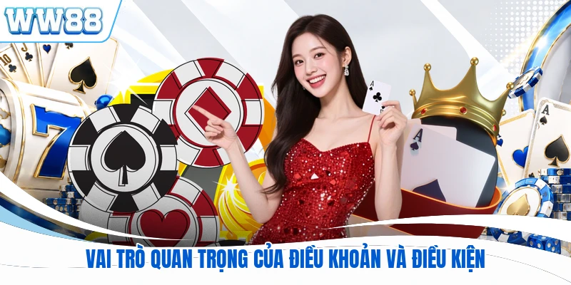 Vai trò quan trọng của điều khoản và điều kiện